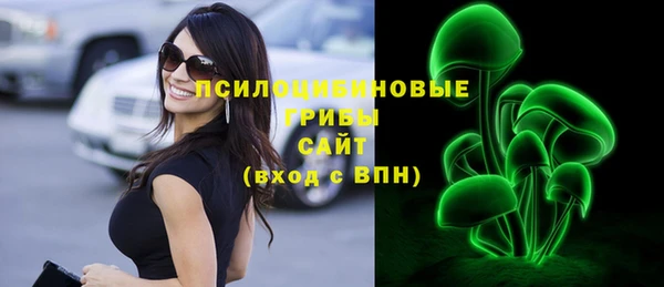 эйфоретик Алексеевка