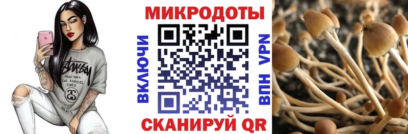 Галлюциногенные грибы Cubensis  Неман 